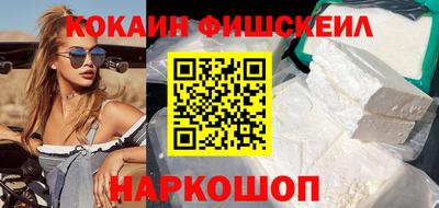 дмт Гай