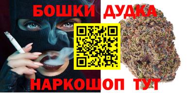 мдпв Гатчина