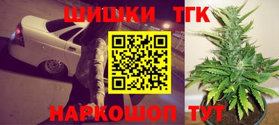 дмт Гай