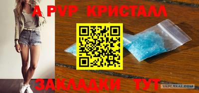 дмт Гай