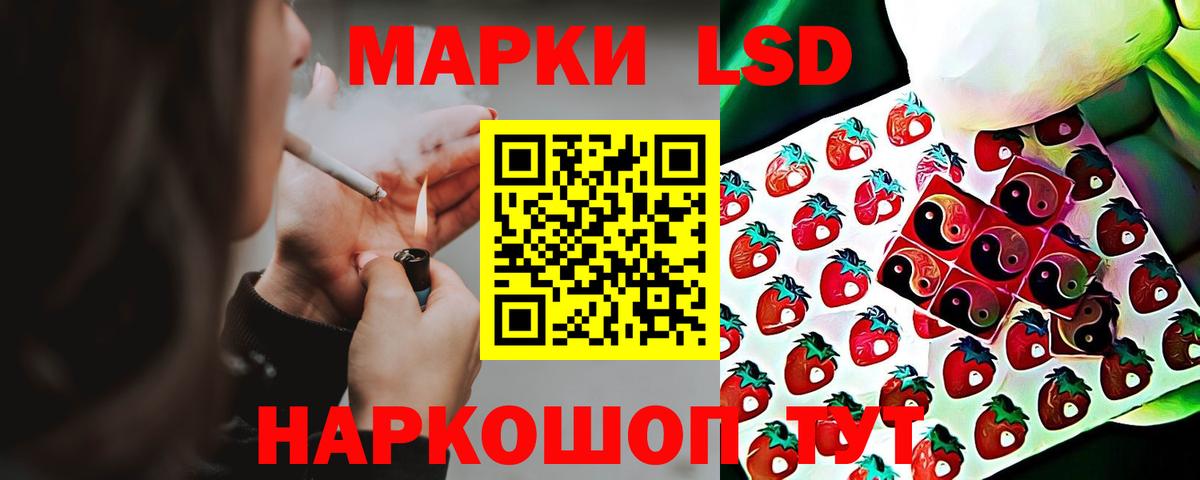 Галлюциногенные грибы Гуково
