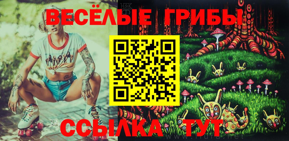 Псилоцибиновые грибы мухоморы Гуково